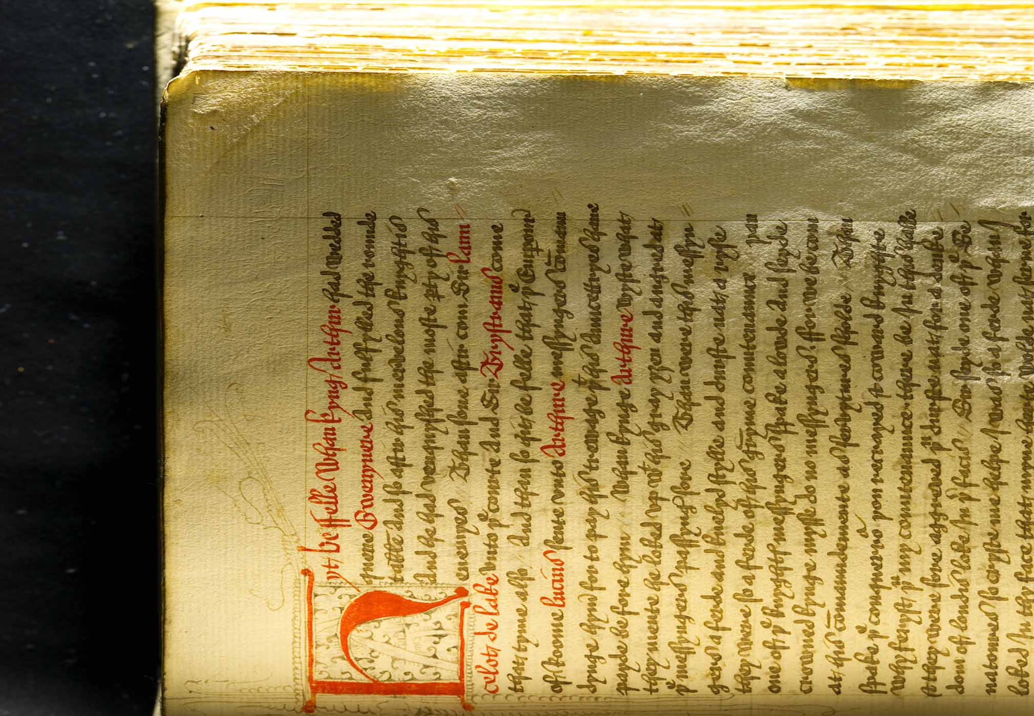 Special - Fol. 71r 