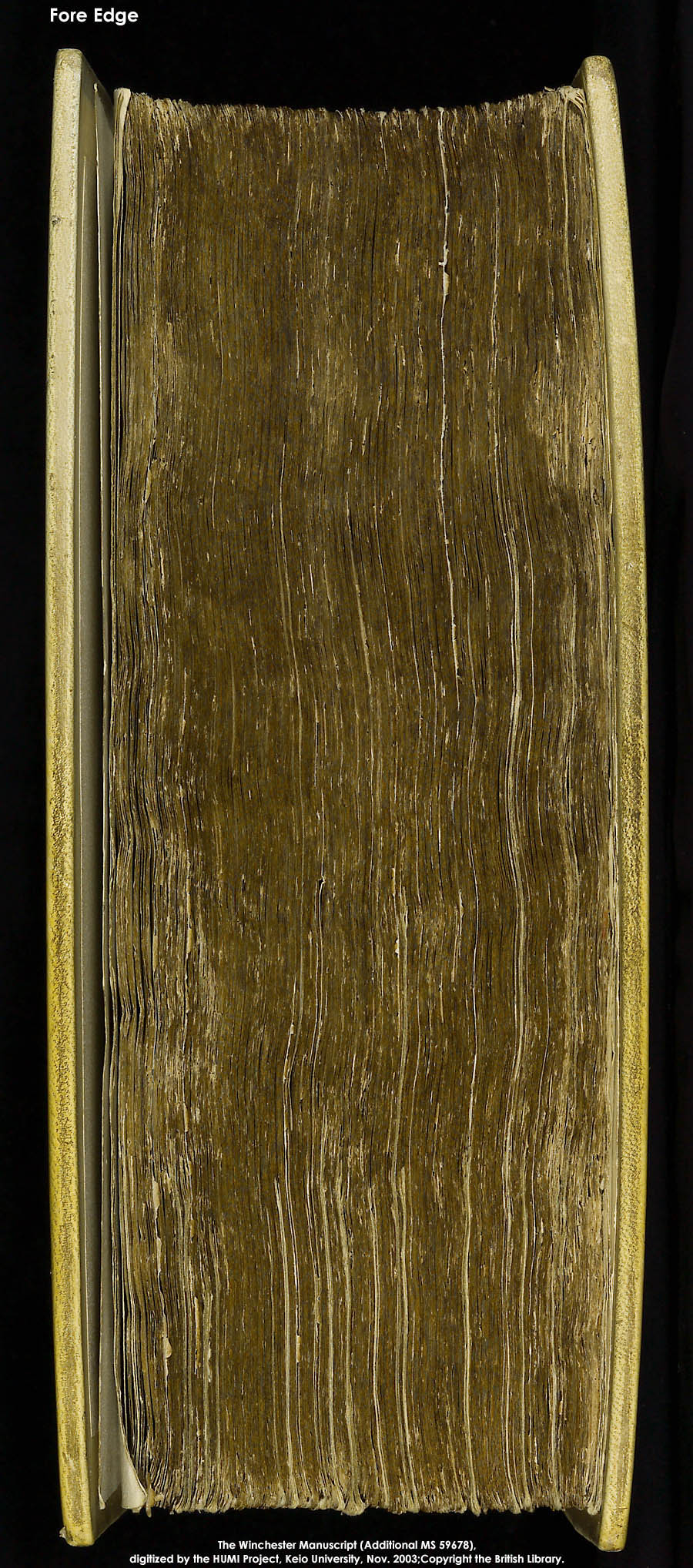 Fore Edge